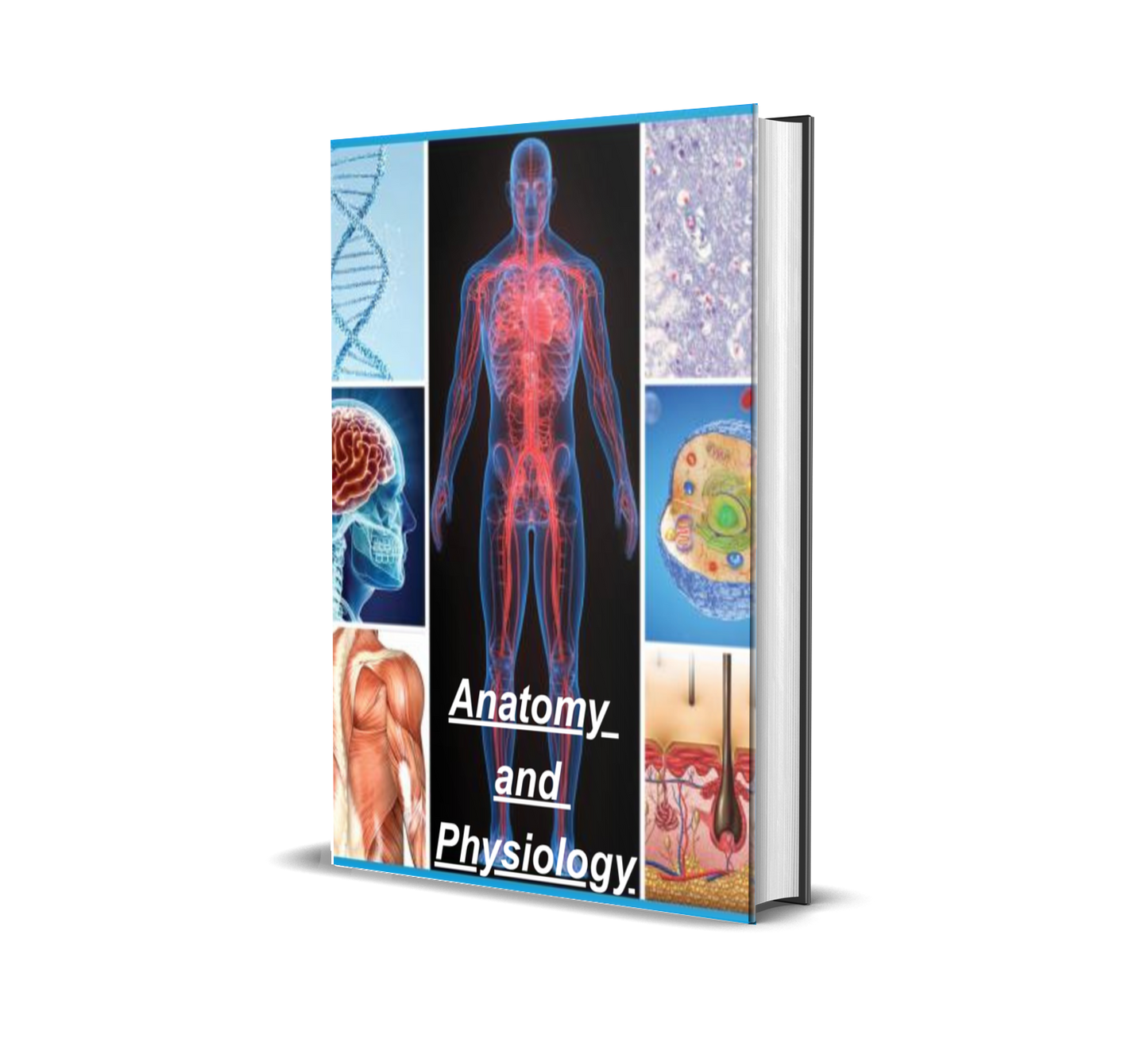 Anatomy and Physiology: A Structured Guide to the Human Body, Systems, and Clinical Foundations