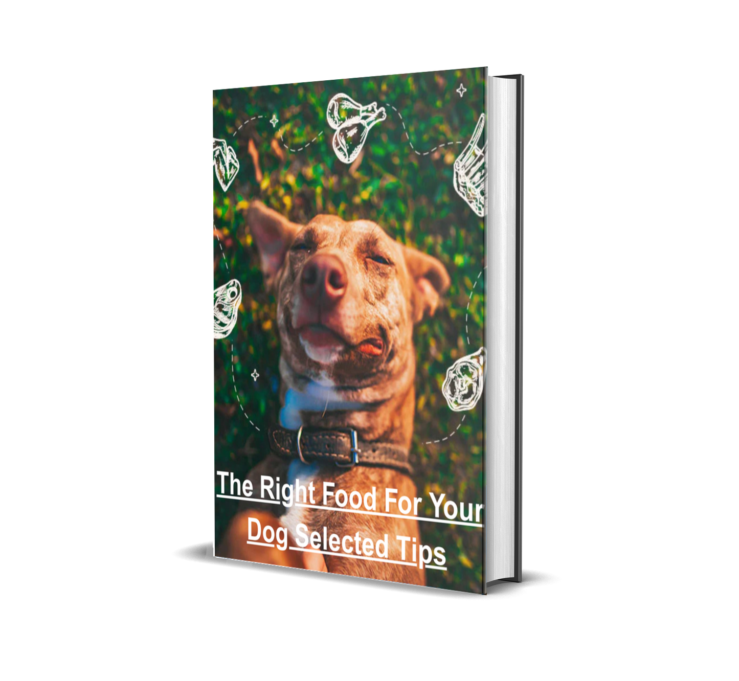 The Right Food for Your Dog: Your Complete Guide to Healthy Canine Nutrition