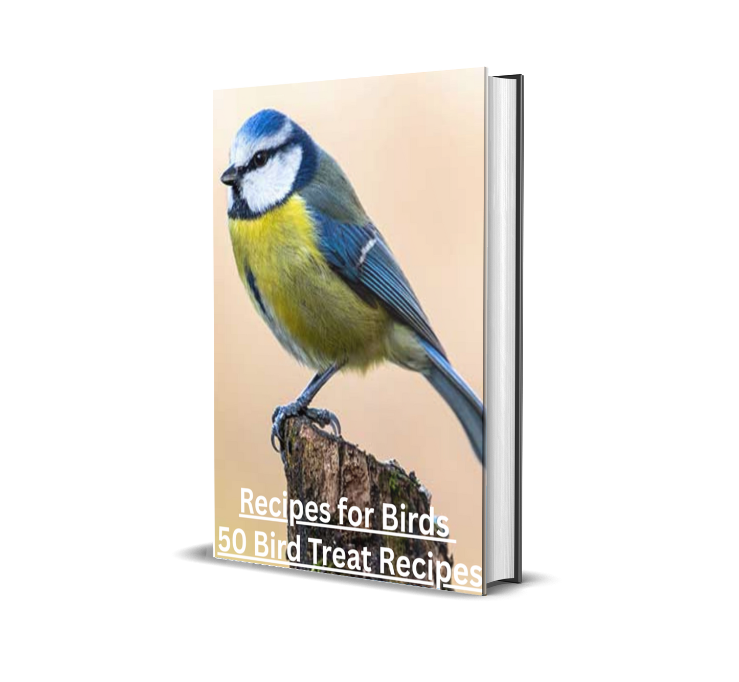 50 Delicious Bird Treat Recipes: Homemade Goodies Your Feathered Friend Will Love!