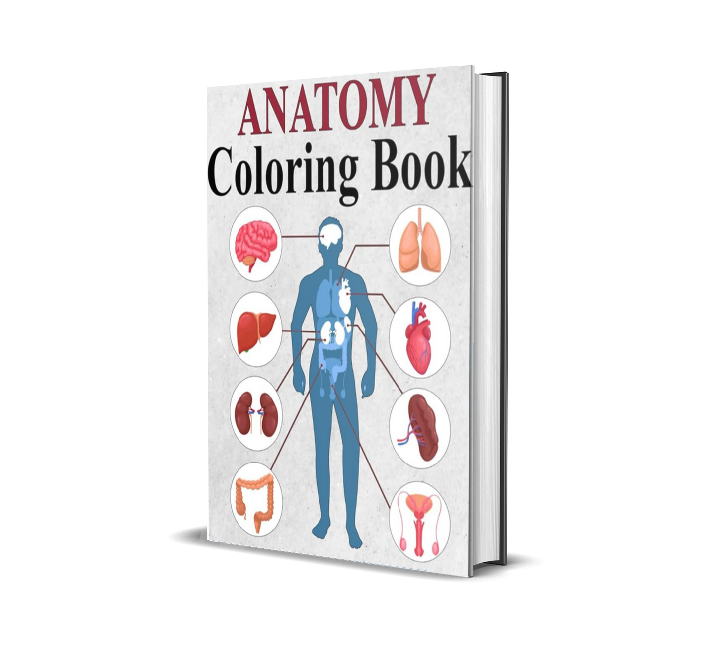 Anatomy Coloring Book : Master Human Anatomy the Fun & Easy Way