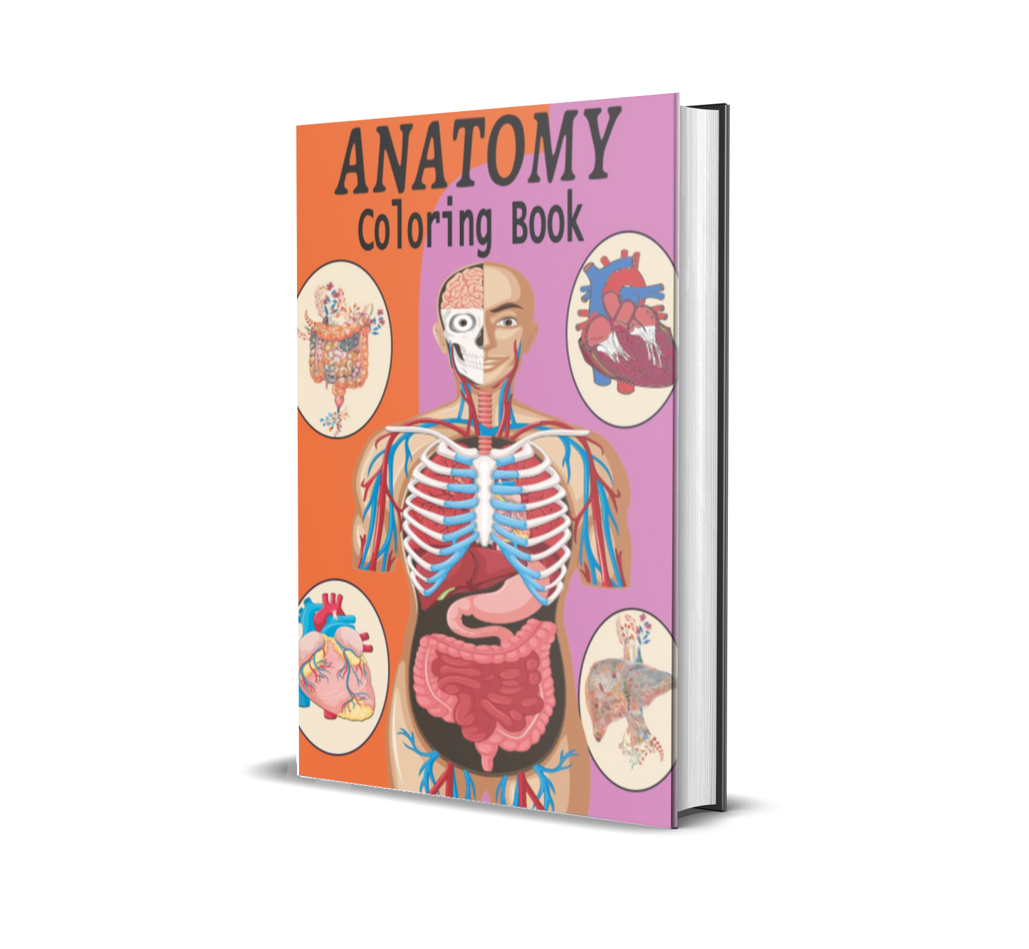 Anatomy Coloring Masterclass: Learn Faster, Remember Longer, and Enjoy the Process