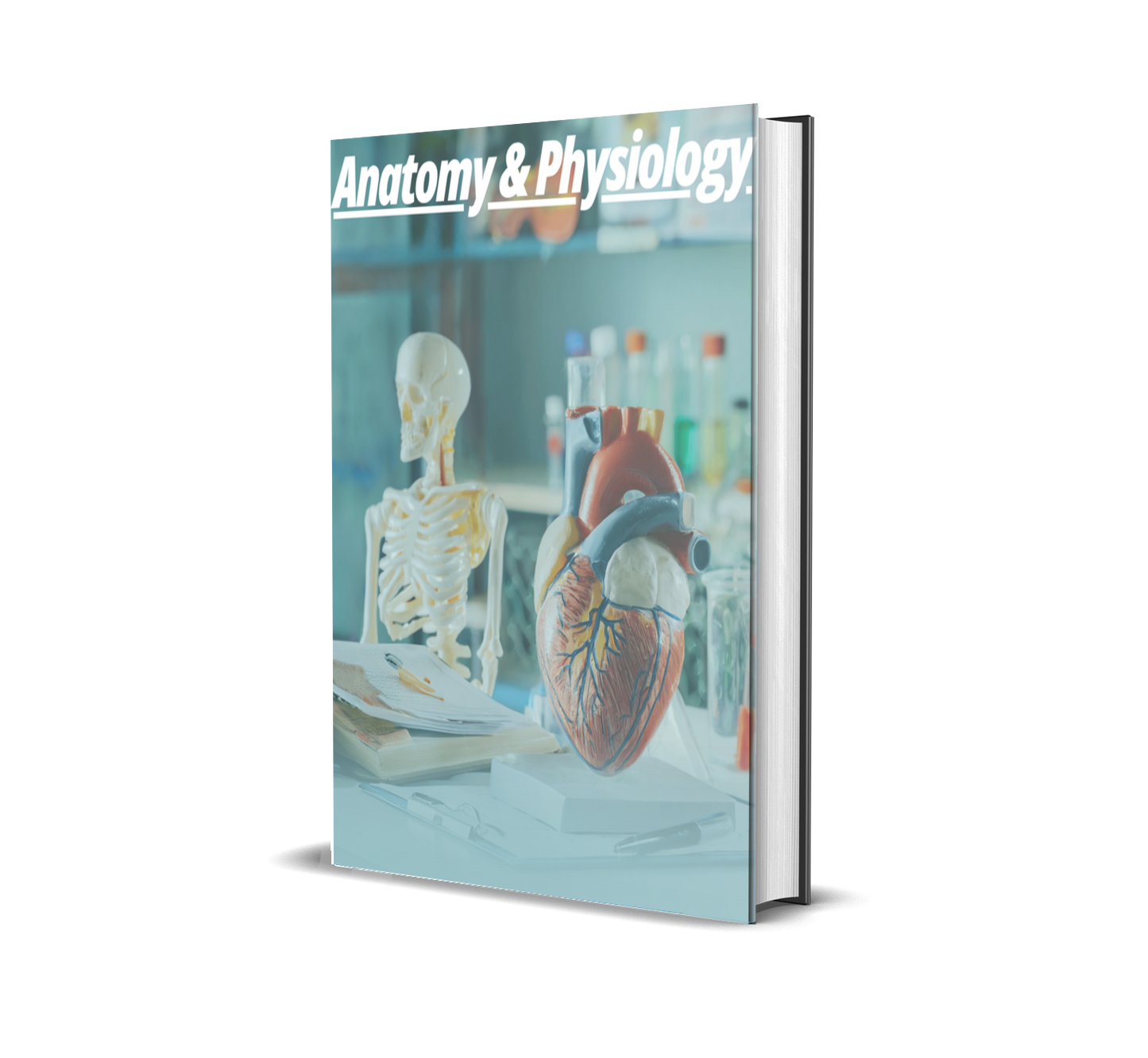 Mastering Human Anatomy & Physiology: The Ultimate Illustrated Workbook for Fast Learning