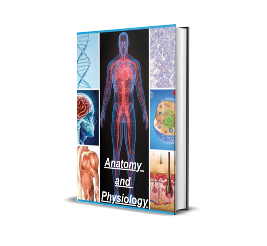 Anatomy and Physiology: A Structured Guide to the Human Body, Systems, and Clinical Foundations