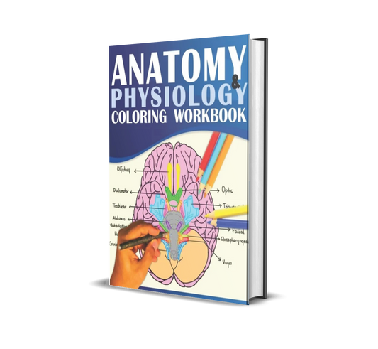 Anatomy & Physiology Coloring Workbook: A Visual Guide to Learning the Human Body