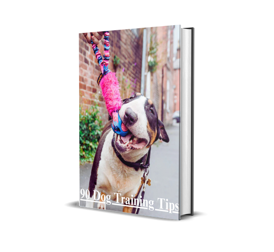 The Ultimate Dog Training Bible: 90 Proven Tips to Transform Your Pet into a Well-Behaved Best Friend