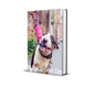 The Ultimate Dog Training Bible: 90 Proven Tips to Transform Your Pet into a Well-Behaved Best Friend