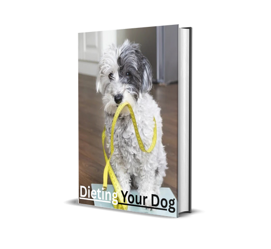 Healthy Dog, Happy Life: The Complete Guide to Dieting Your Dog for Longevity, Energy, and Love