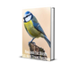 50 Delicious Bird Treat Recipes: Homemade Goodies Your Feathered Friend Will Love!