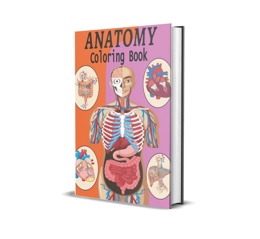 Anatomy Coloring Masterclass: Learn Faster, Remember Longer, and Enjoy the Process